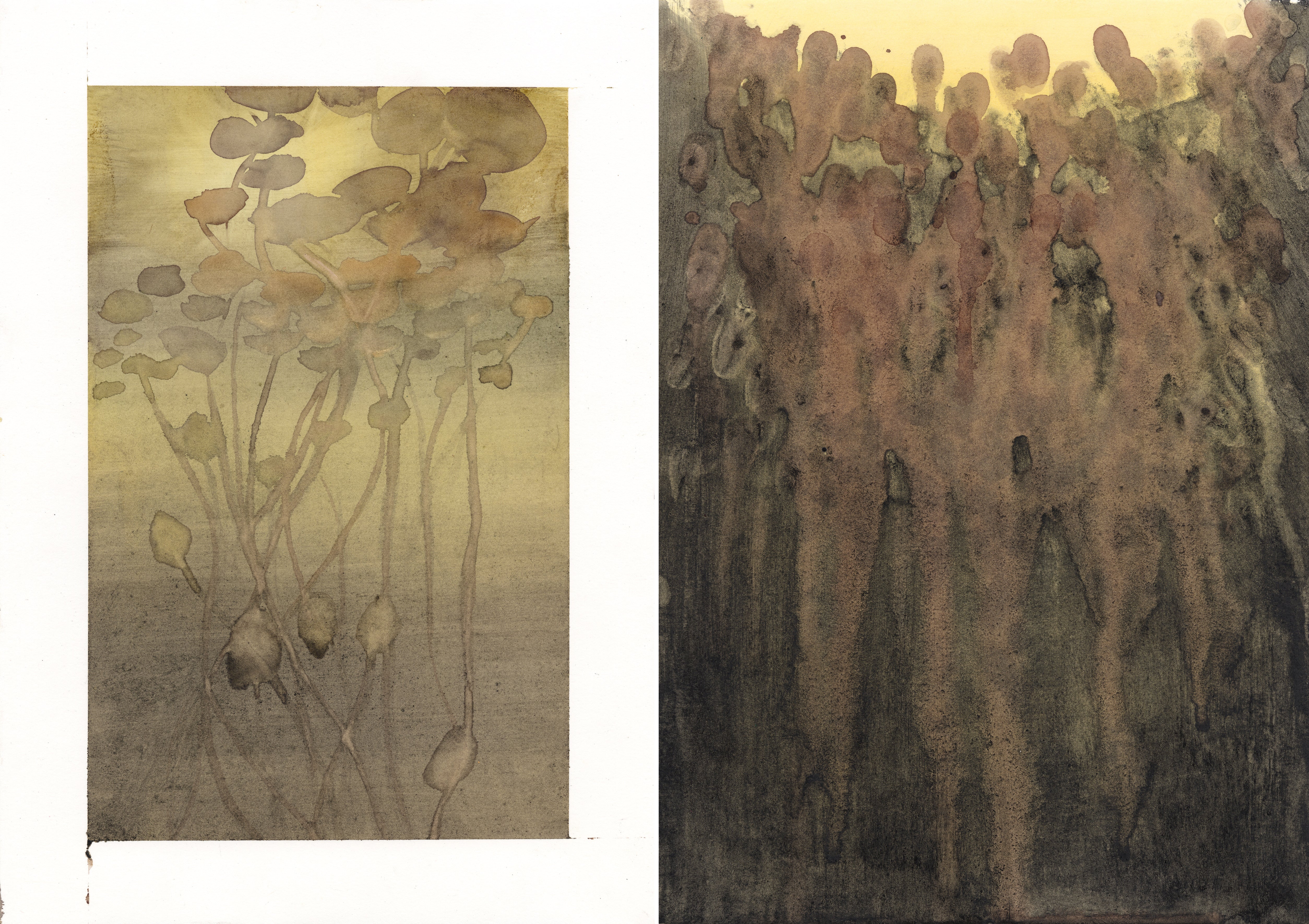 Lalele, 2025 by Hanien Conradie