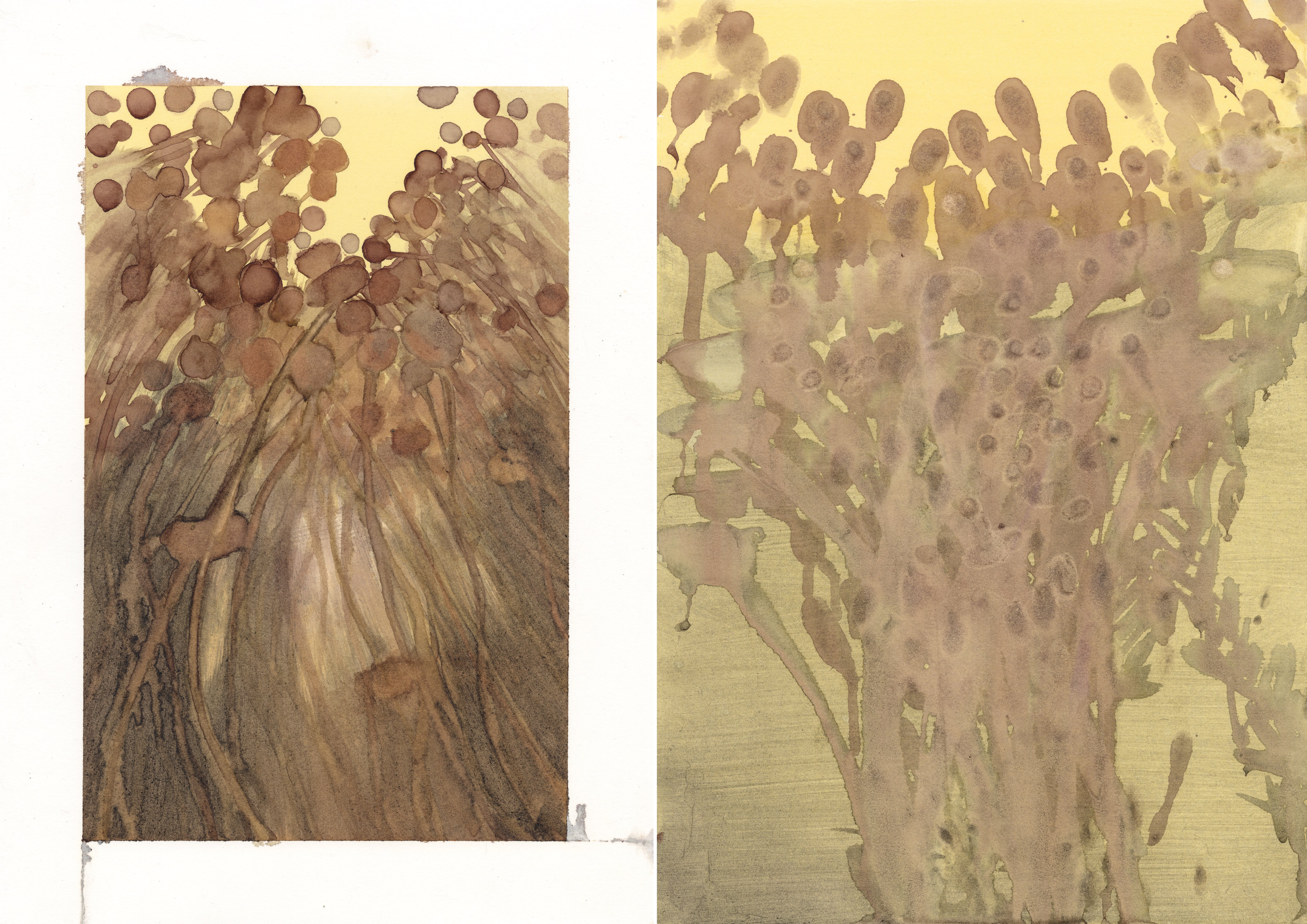 Mabalêl, 2025 by Hanien Conradie