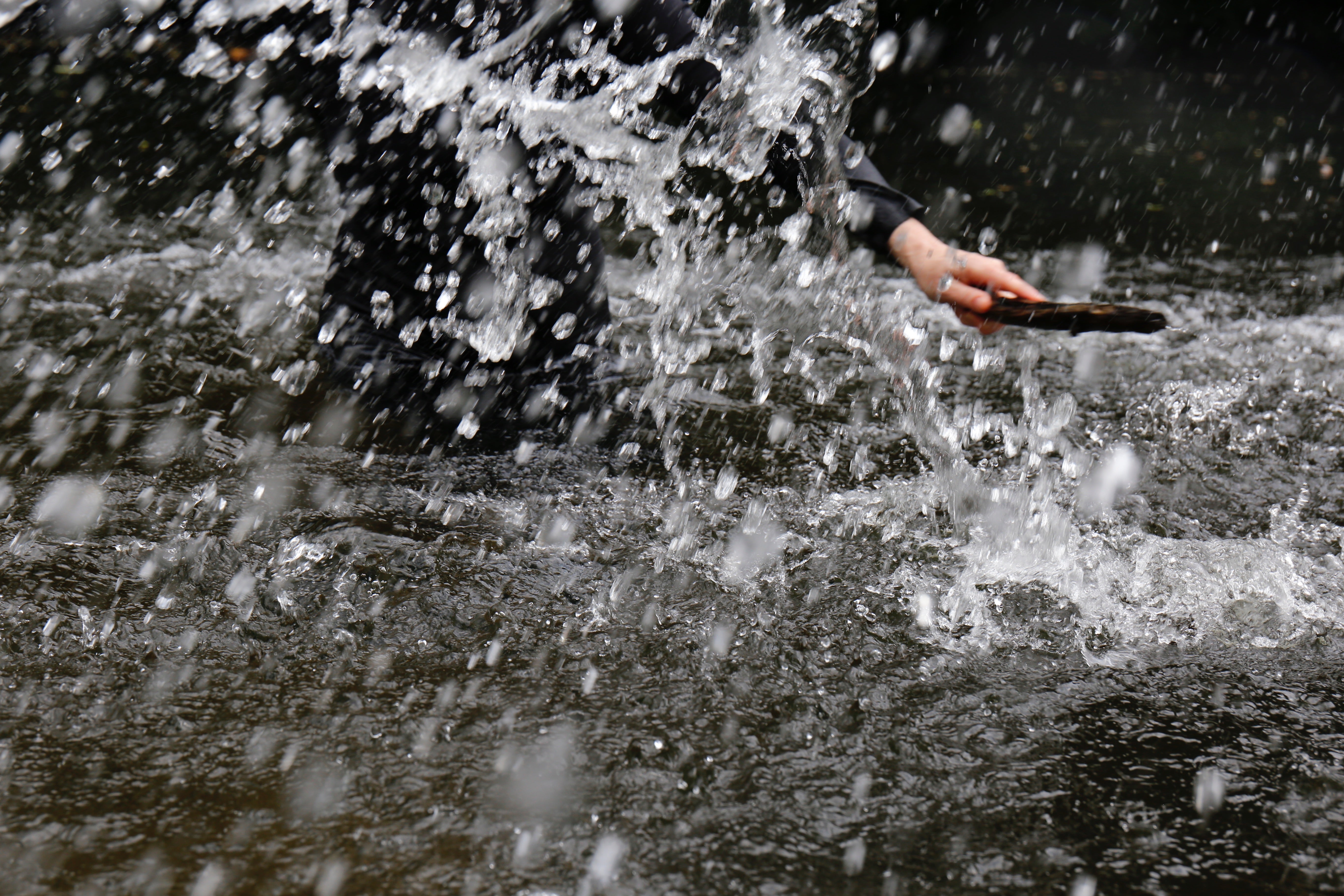 Painting with Water 1, 2025 by Hanien Conradie