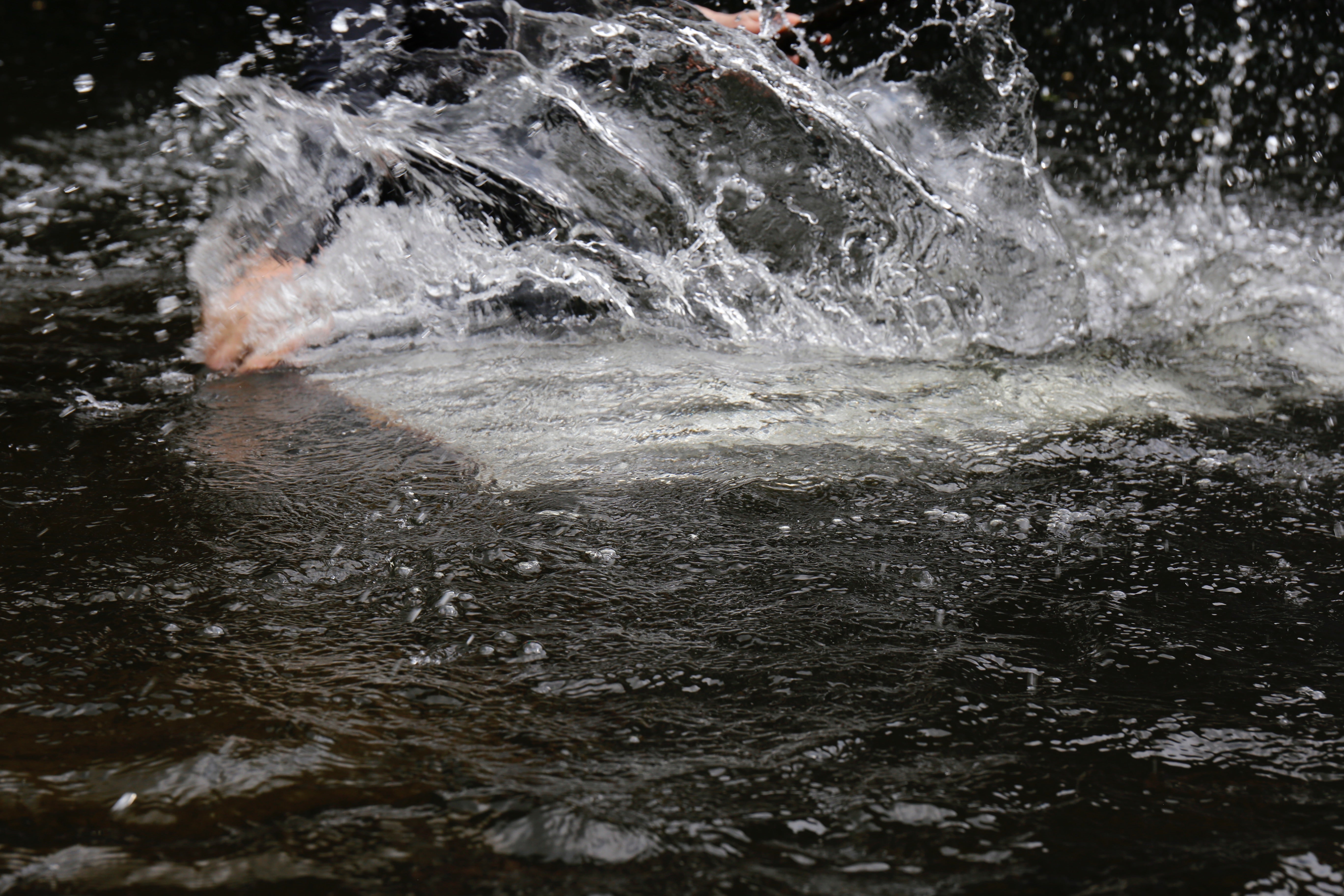 Painting with Water 2, 2025 by Hanien Conradie