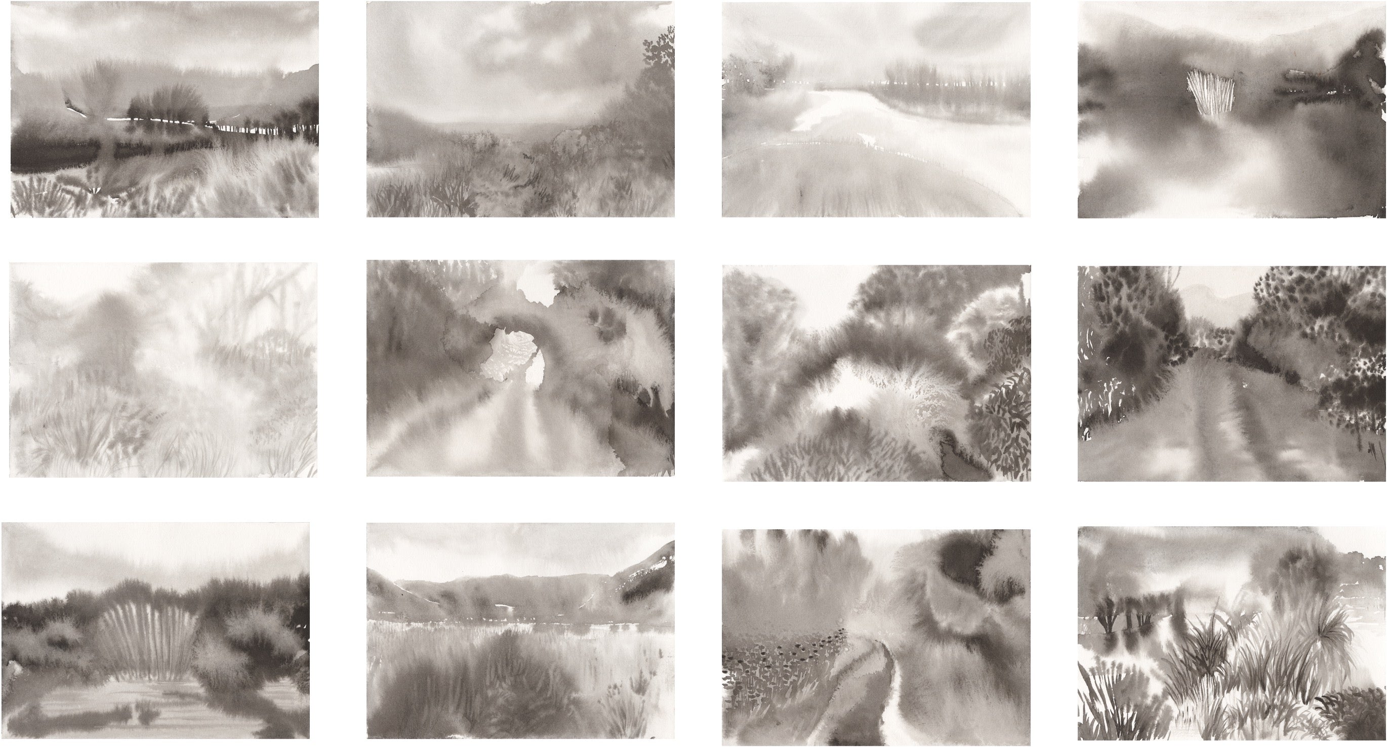 Winter walk in Table Mountain Reserve, 2023 by Hanien Conradie