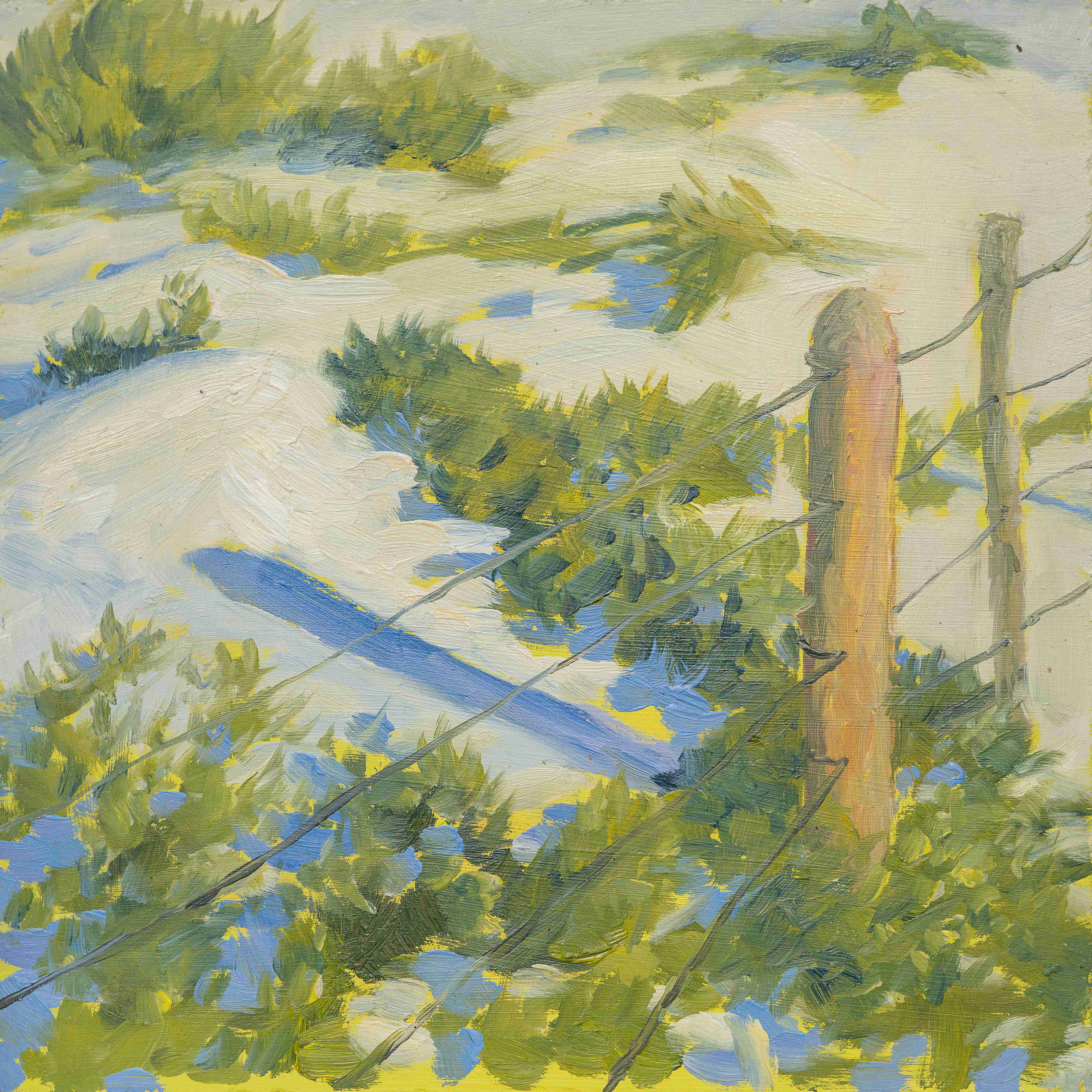 Fence Along the sand Dunes, 2025