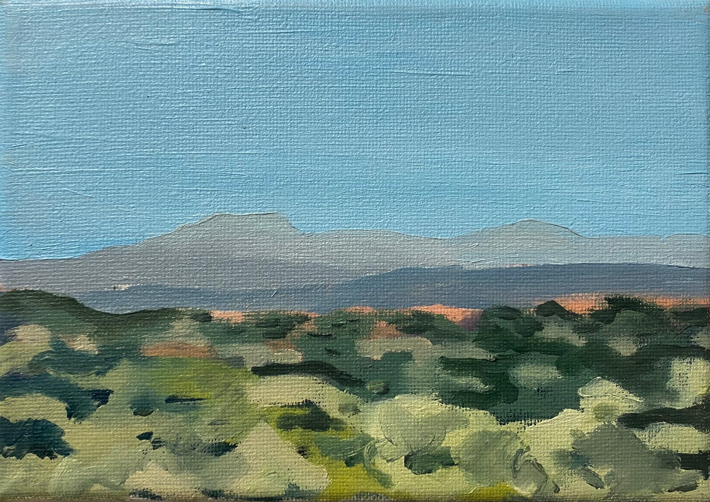 Listening to the cicadas, 2026