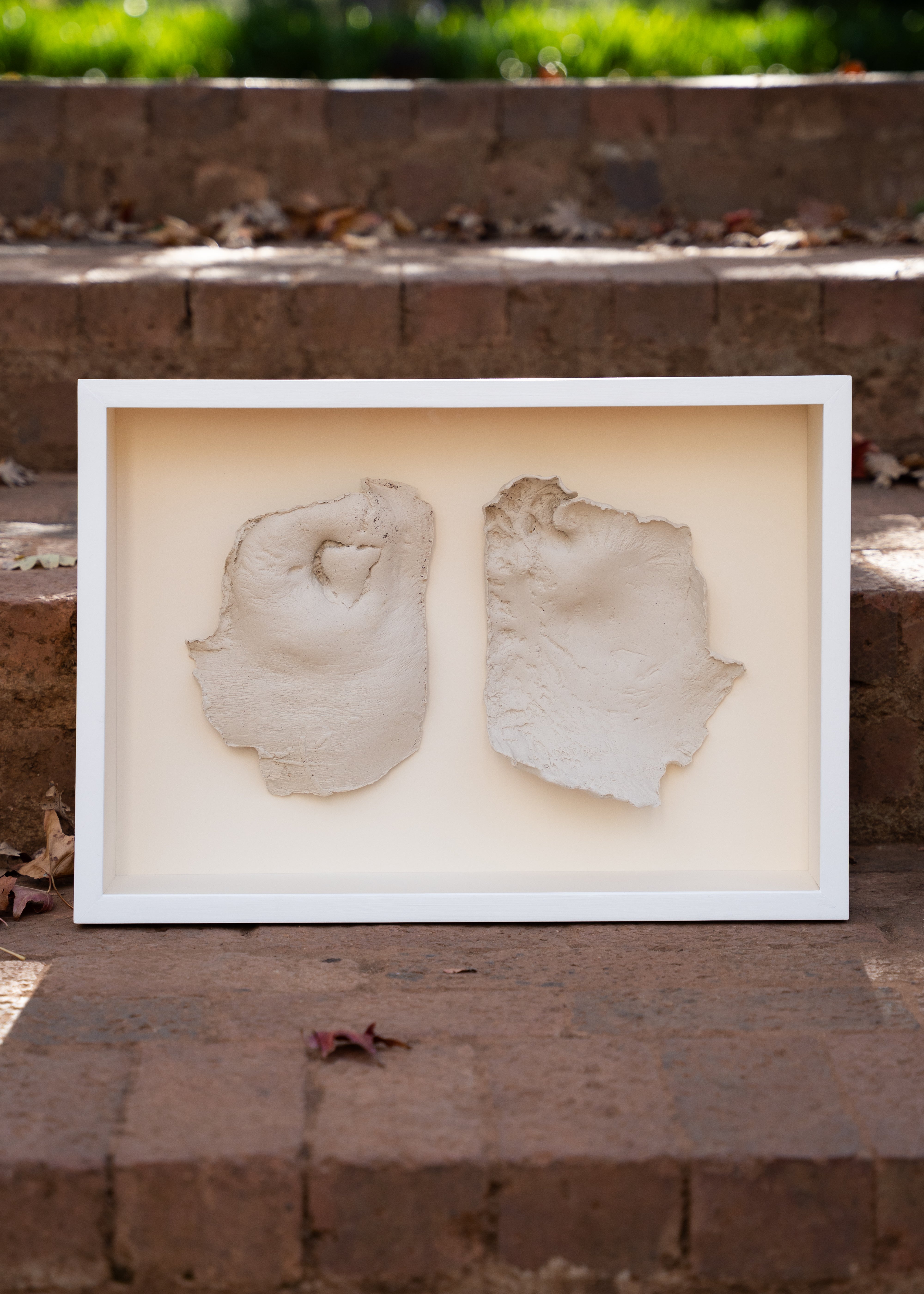 Natasha Bezuidenhout, Untitled (Yellowwood) (2024)