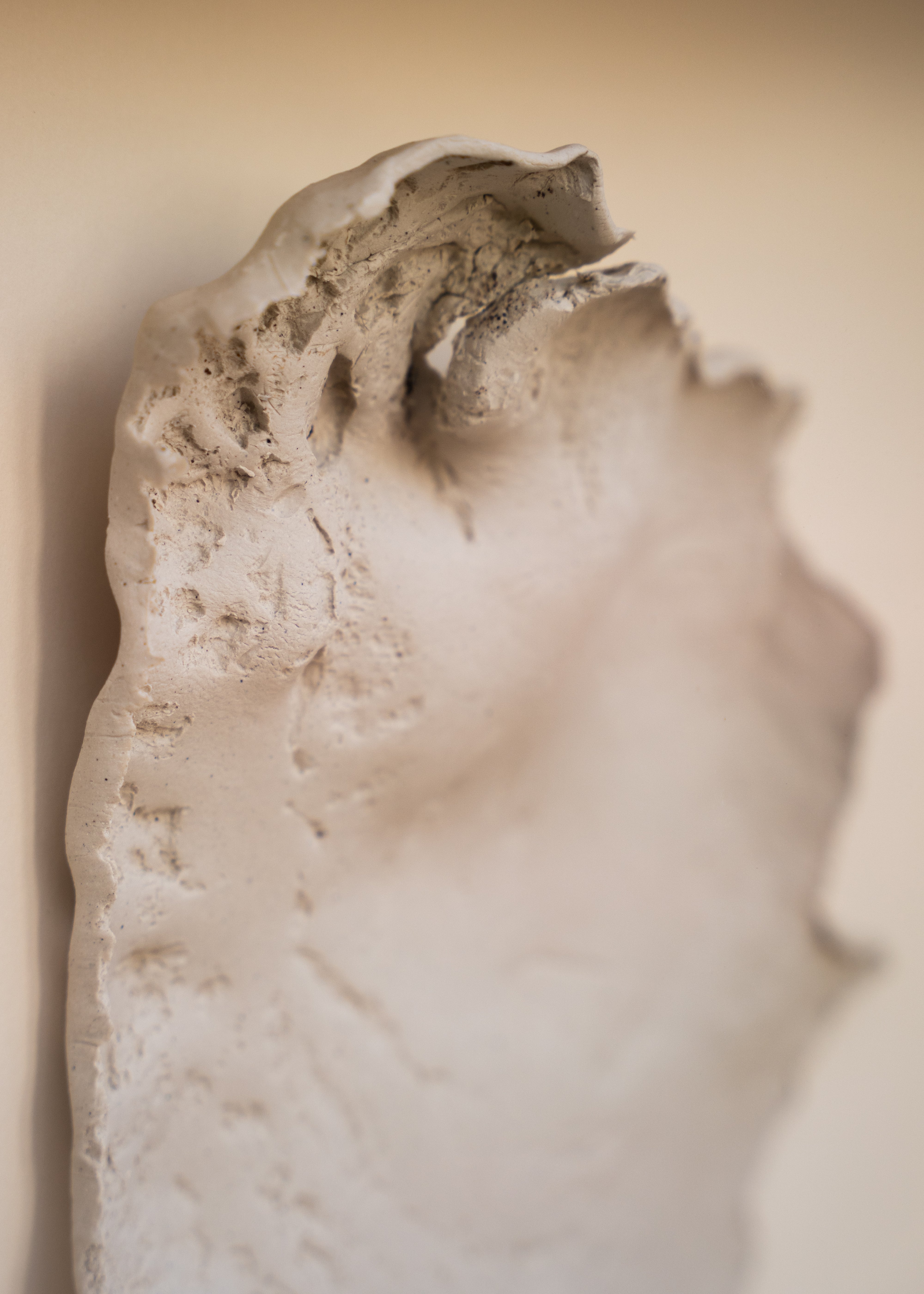 Natasha Bezuidenhout, Untitled (Yellowwood) (2024)
