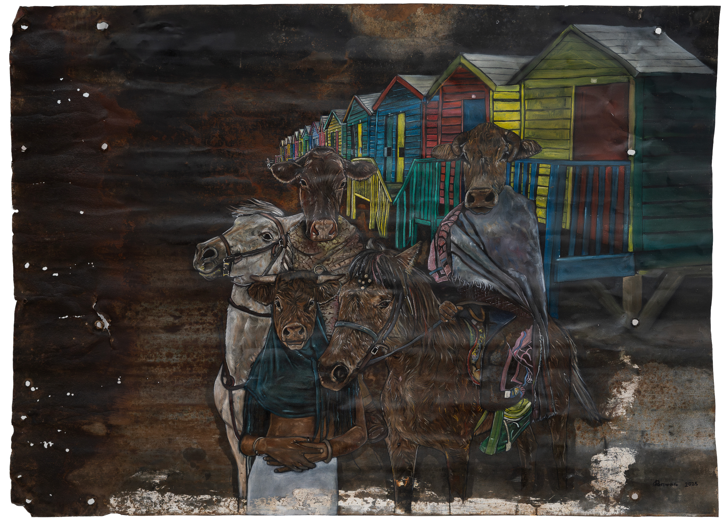 Cows of the Cape 2025 by Sello Letswalo