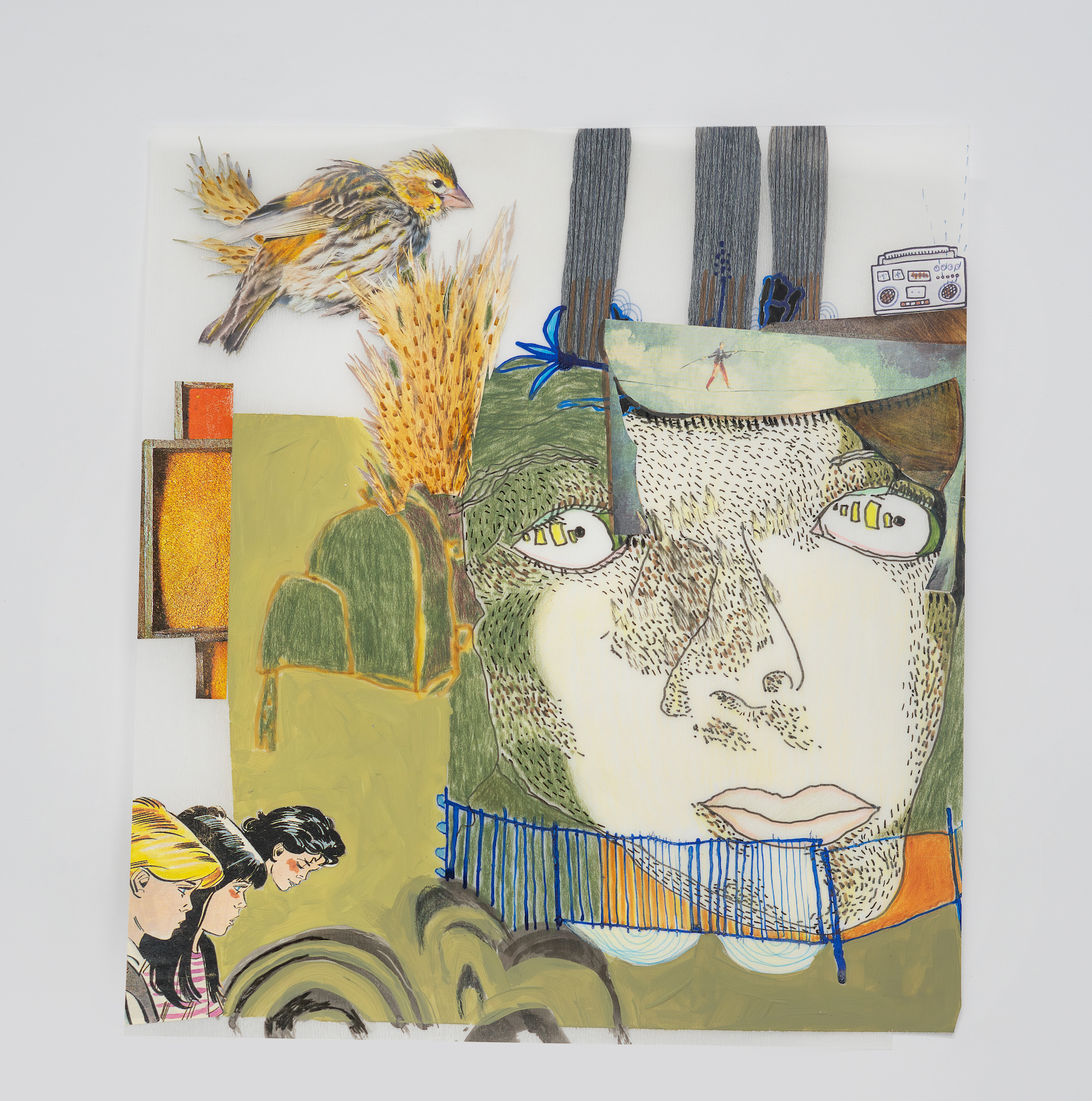 Mountains & moles, 2023-2024